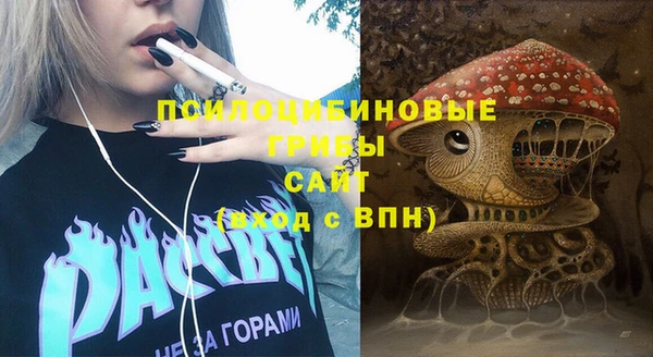 прущие крисы Абаза