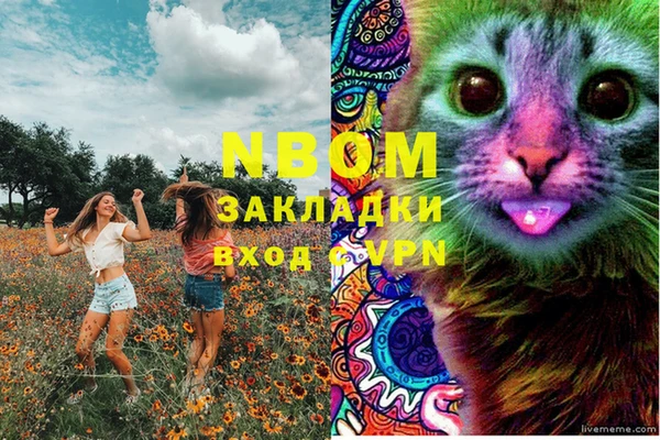прущие крисы Абаза