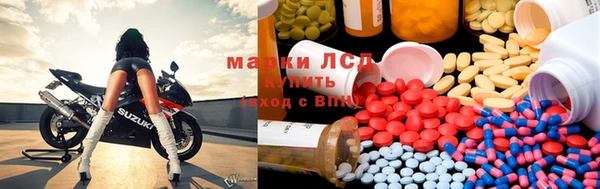 прущие крисы Абаза